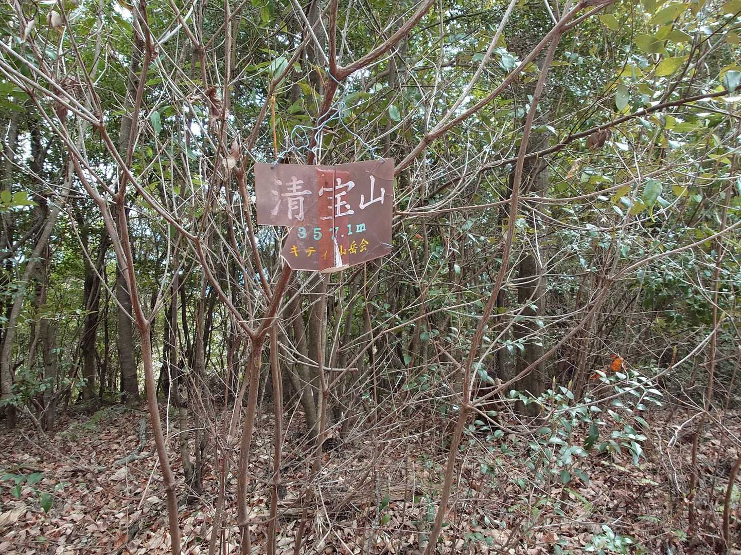 石鎚神社-清宝山-苔庭 往復コースの写真