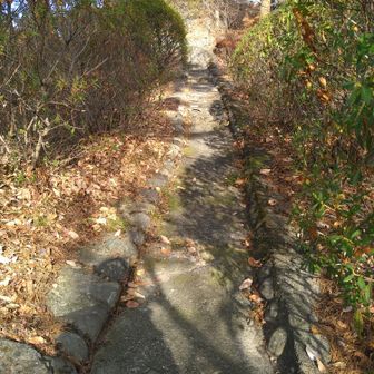 山頂がわからず、ちょっと行き過ぎました。
遊歩道から小高い場所にあった。