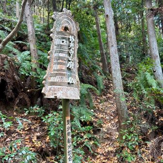 妙光寺山磨崖仏に立ち寄ってきました。
