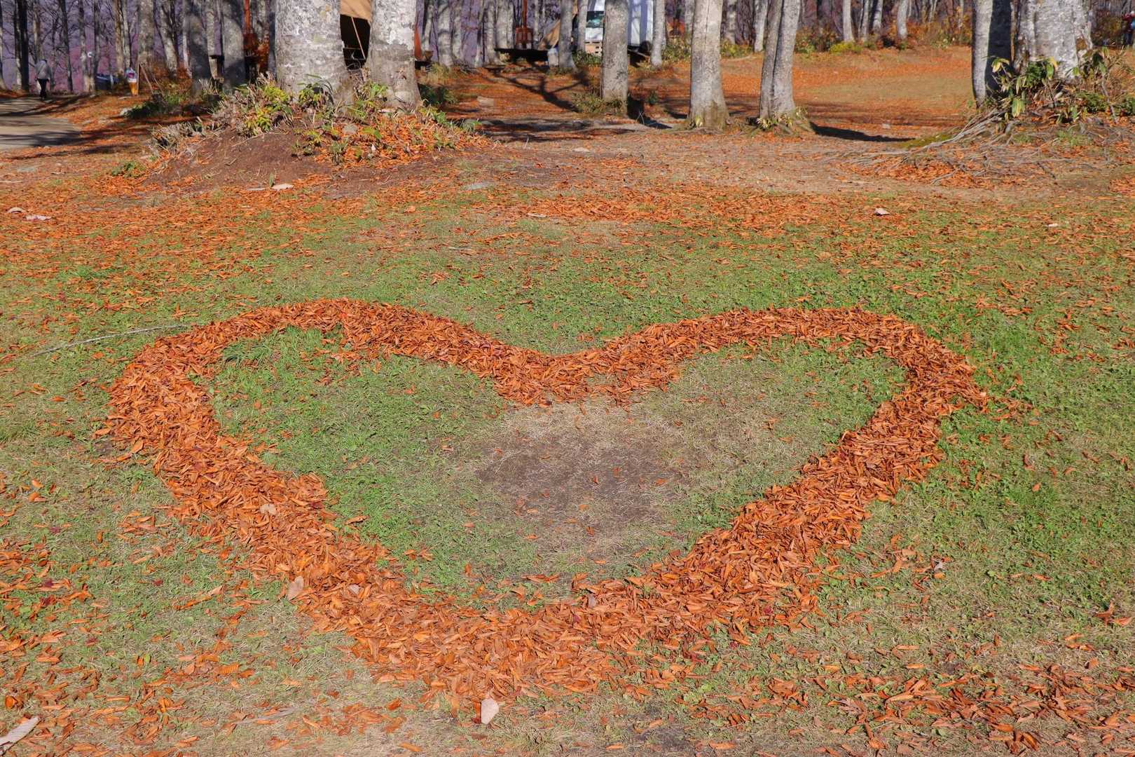 ♥️