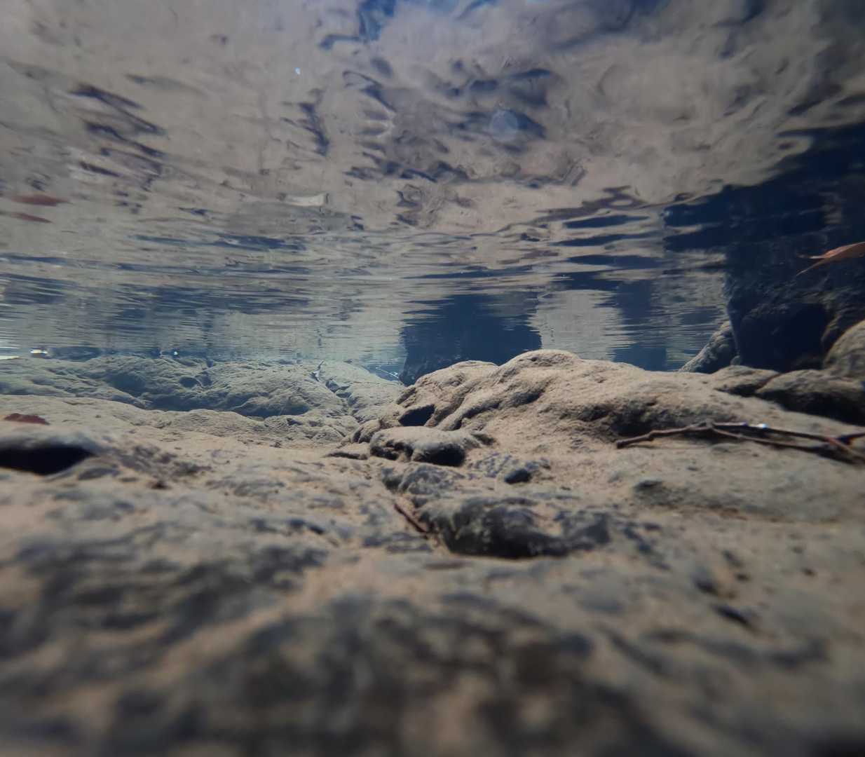 綺麗な水