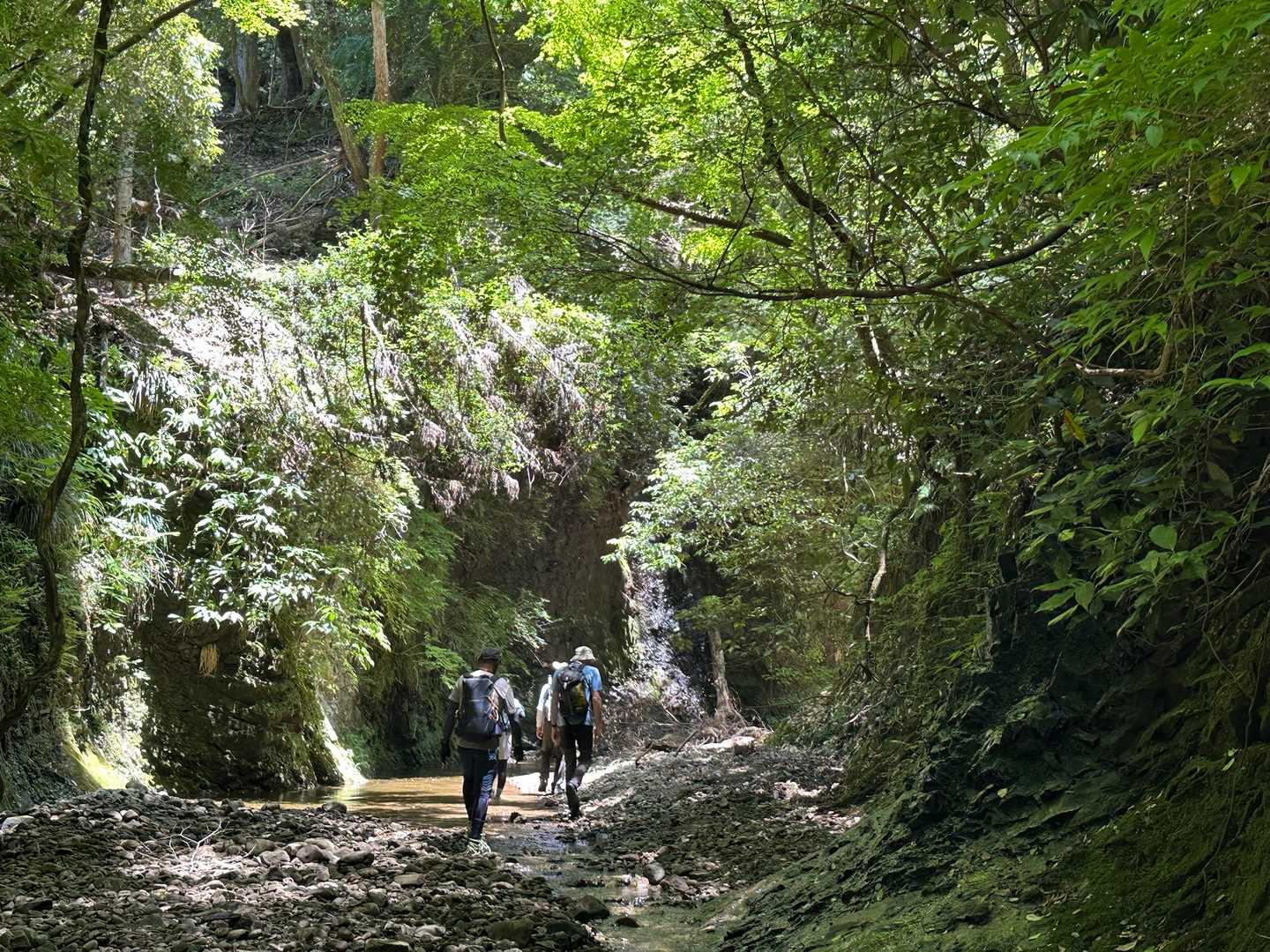 鎌倉古道 大塚山・三浦三良登山口-三浦三良山 周回コースの写真