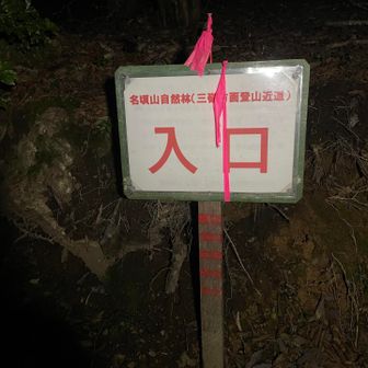 いざ出発！
所々道なき道を進む⛰️