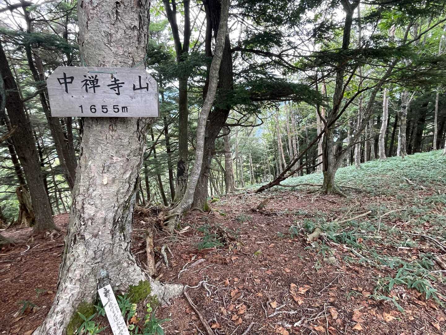 中禅寺山到着(*´꒳`*)
戻ります〜