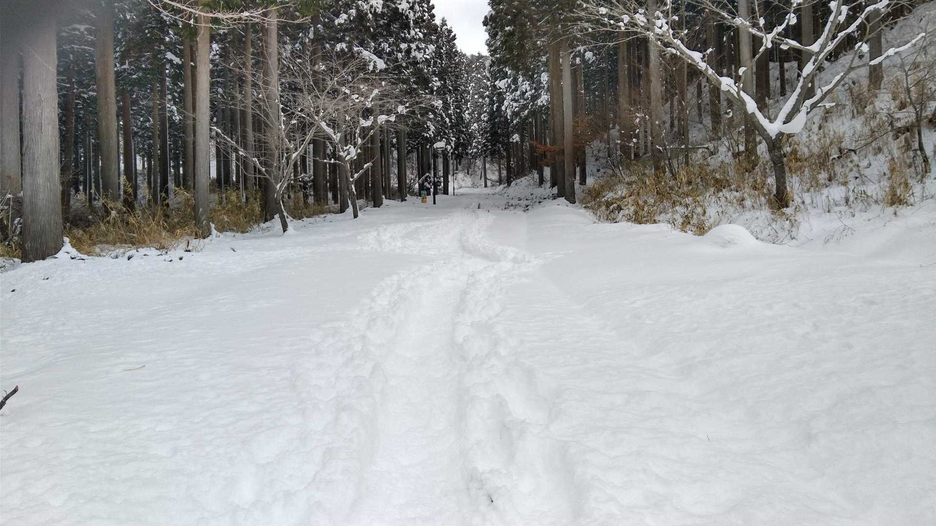 昨日の氷漠ハイクよりは雪山
トレースはある