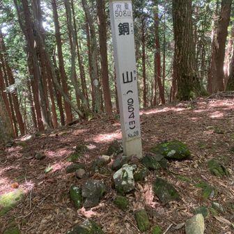 銅山頂上。眺望はない。