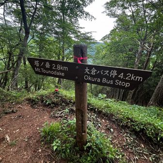 もうほんとに、絶対うそ！！！な距離看板ww