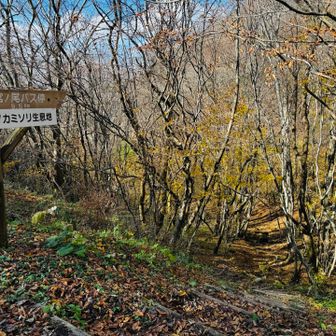 オオキツネノカミソリ生息地への取りつき