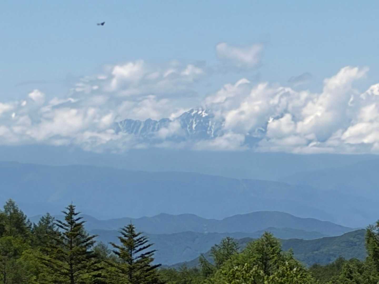 雪を被ったアルプスの山々が