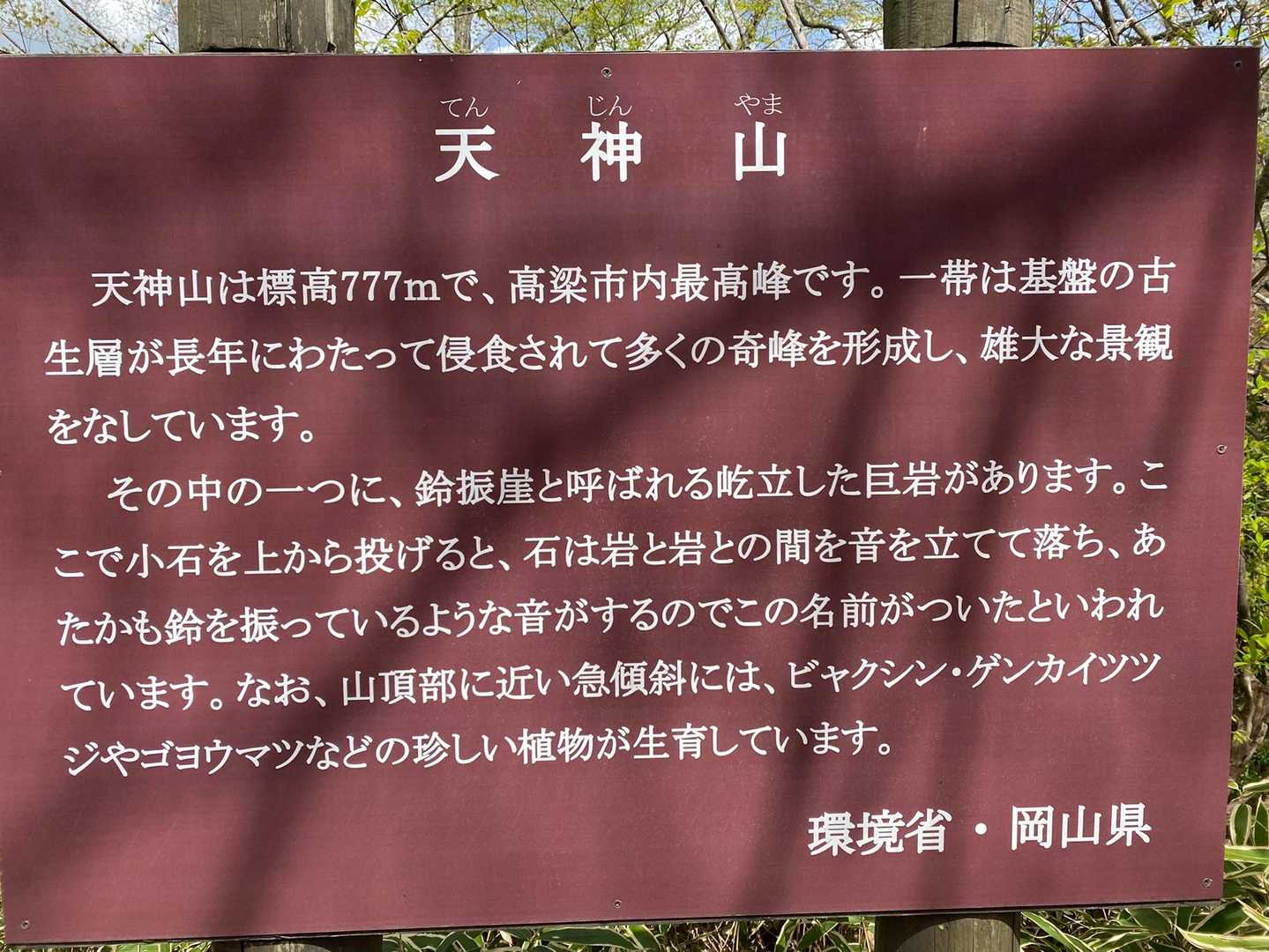 らしいです