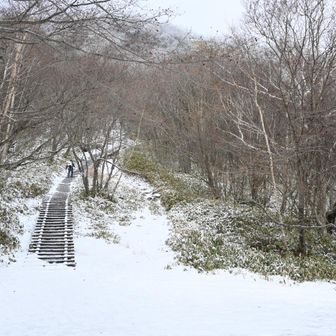 はじめから雪あり
