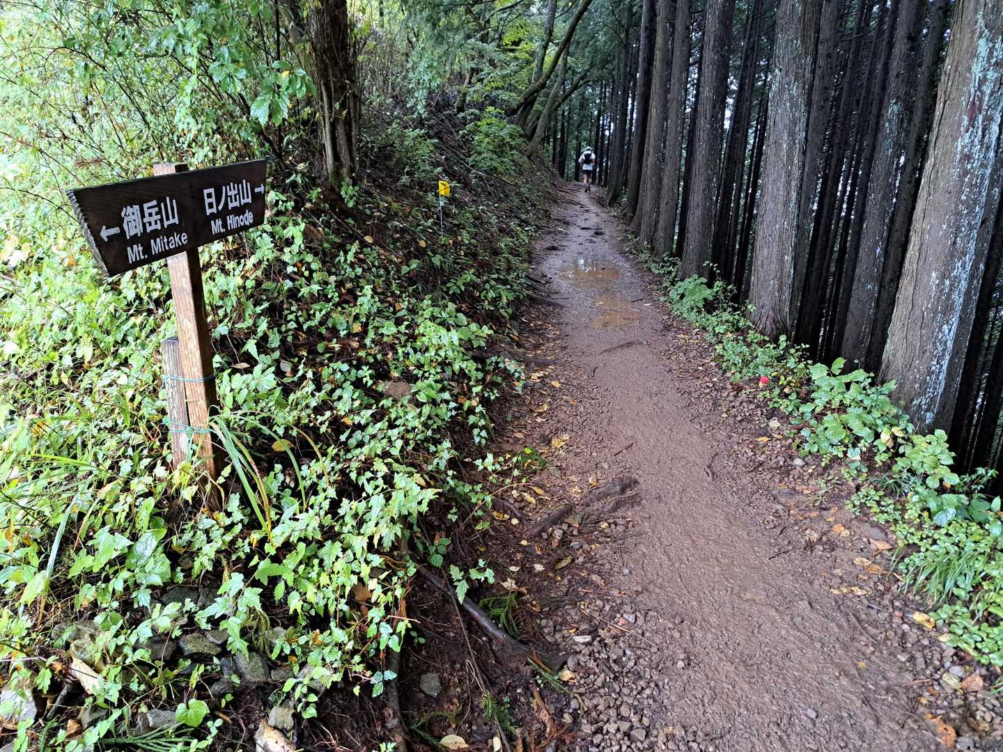 日の出山へ向かいます。