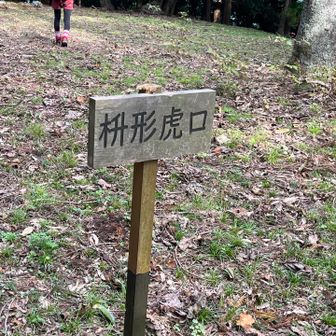 枡形虎口ってなに？と聞くと、りんあすかさんから、敵の侵入を防ぐために厳重に作られた出入り口（虎口）…と教えていただきました。