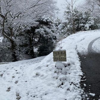 既にこの積雪量、このあとが楽しみ