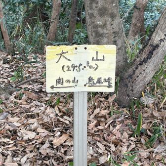 大山も登頂！焼肉行きたい！
ここまでとても歩きやすい整備された道。