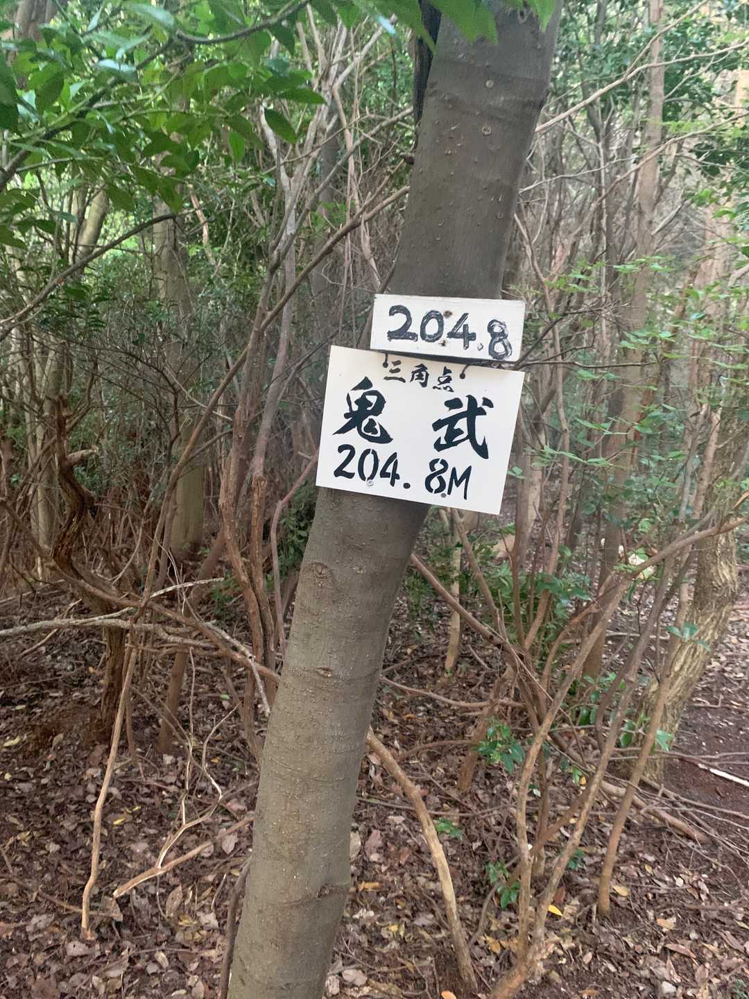鬼武❓人の名前😆