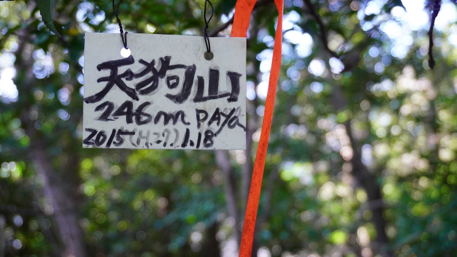 であってうれしい
小さくてかわゆい標識