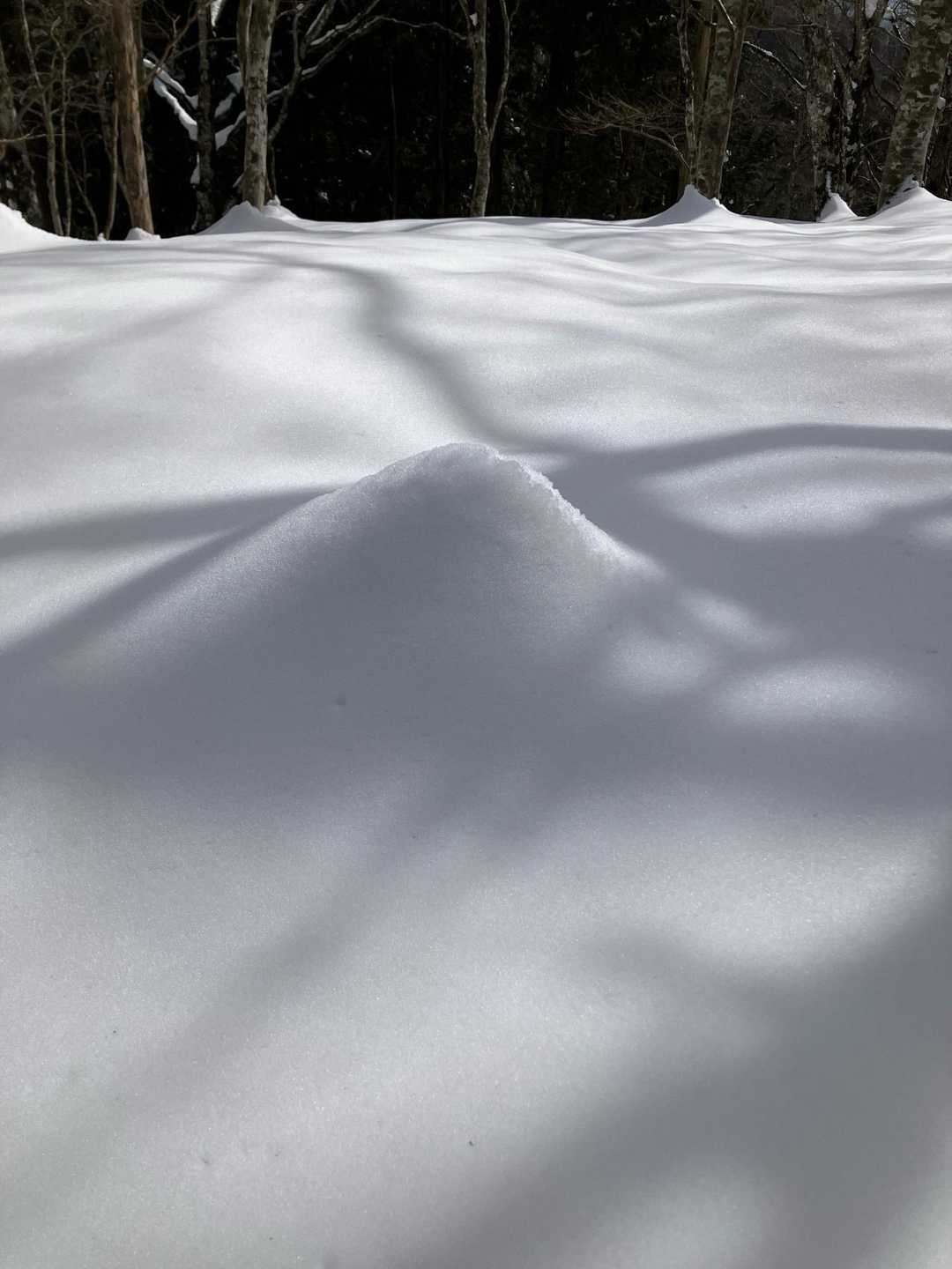 上砂糖富士🗻