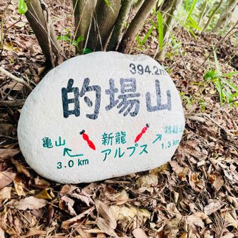 新龍アルプス⛰️  いつかは…✨
