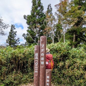 ⑦ブナの谷頭1021mに登頂です🙌ヽ(=´▽`=)ﾉ