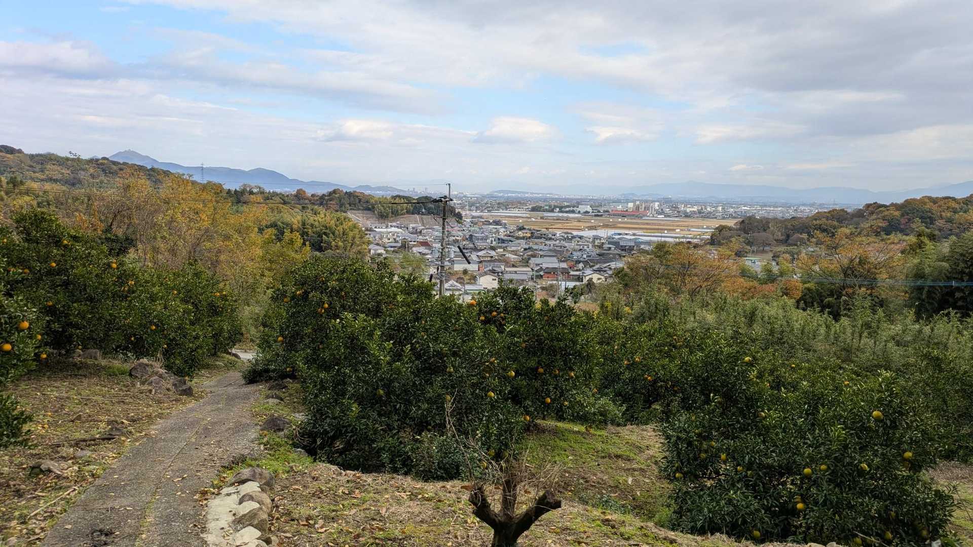 少し登って振り返り📸
街並みが…