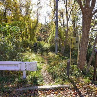 まず、湖の浮島「一ッ山」へ。案内のない判り難い入り口で、道は少し藪漕ぎ気味です🥲