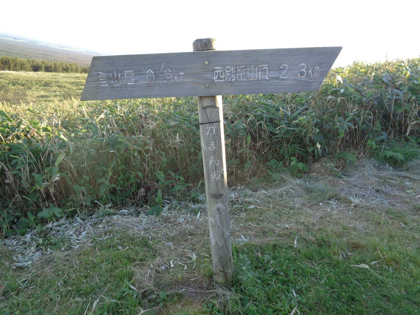 競技🏃はここ、がまん坂スタートラインから始まる。