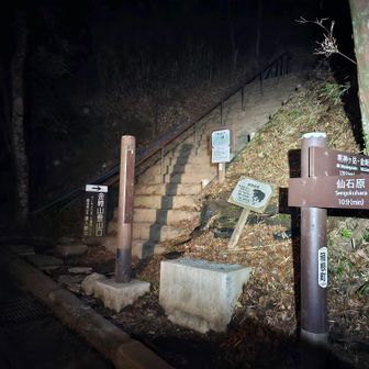 山頂から4～50分ほどで仙石原方面の金時山登山口へ下山しました。