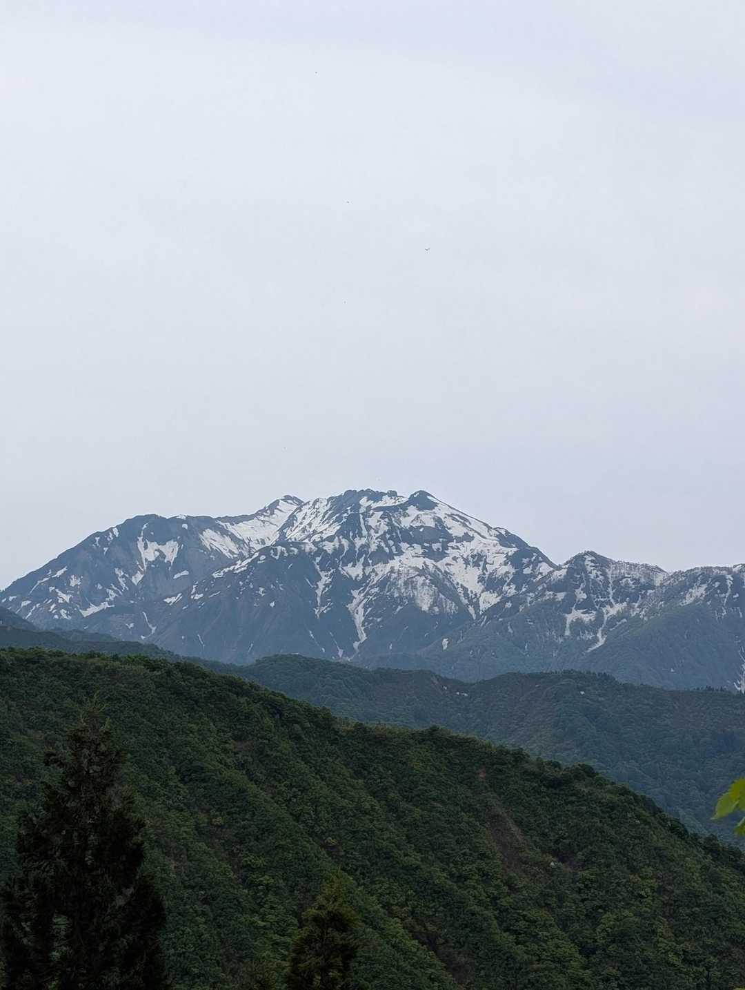 八海山🤩近い