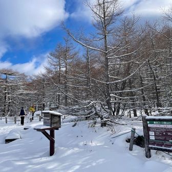 車に忘れたサングラスを取ってスタート😎
朝と比べて車も人もだいぶ増えてた🚗