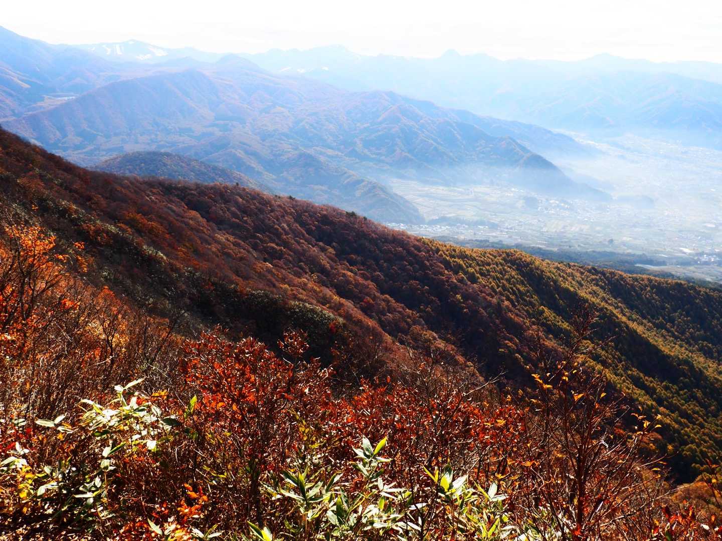 谷厳寺登山口-高社山 往復コースの写真