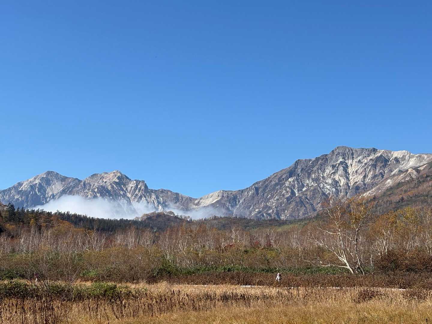 はい、素晴らしい