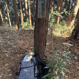 リス蔵さんとりんご休憩🍎