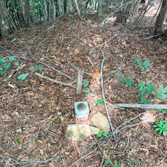 恐ろしく地味なピーク。
俺でなきゃ見逃しちゃうね。