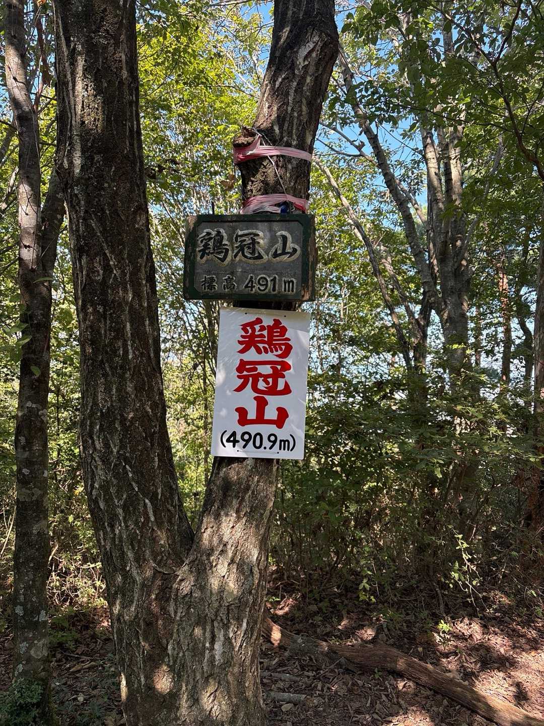 上桐生登山口-鶏冠山 周回コースの写真