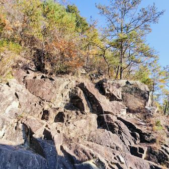 行ったことないのですがお店すぐ近くのこの鎖って登れるのでしょうか？