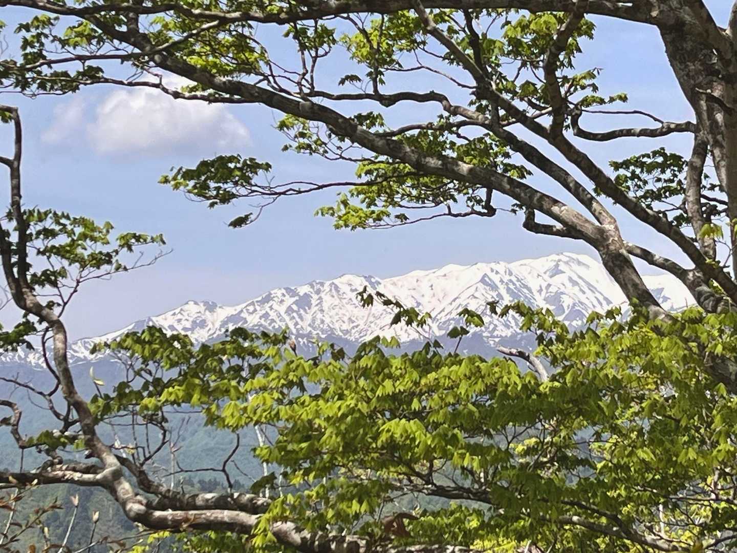 (*ﾉдﾉ)ｳｷｬｰｰｰｰｰｰ🏔✨️✨️