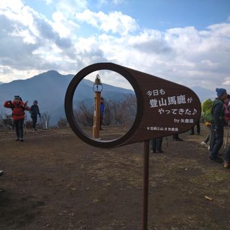 矢倉岳には人がいっぱい。
バス停まで、あと1時間しかない。