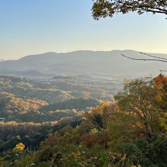 これは、岩湧山の方向⛰️さて、降り始めます⤵️