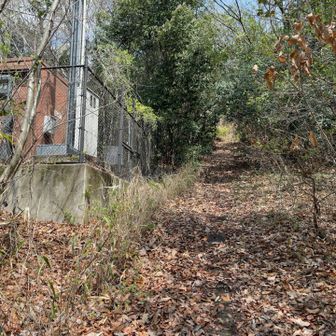 枯葉はあるが歩ける　この後は道なき道