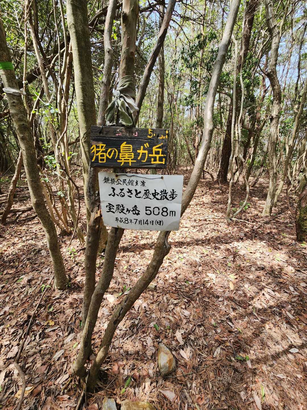 すぐに頂上。眺望は無し。
