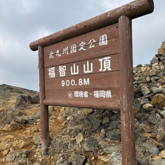 登り返して二回目の登頂！頑張った！