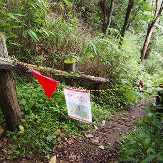ここに出てきた
下にも同じものを付けたほうがイイのでは
別の方も登ってます
と、じぶんのせいにはしない