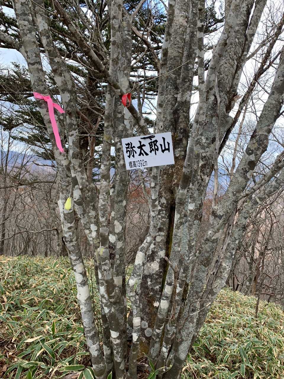 着きました⛰✨