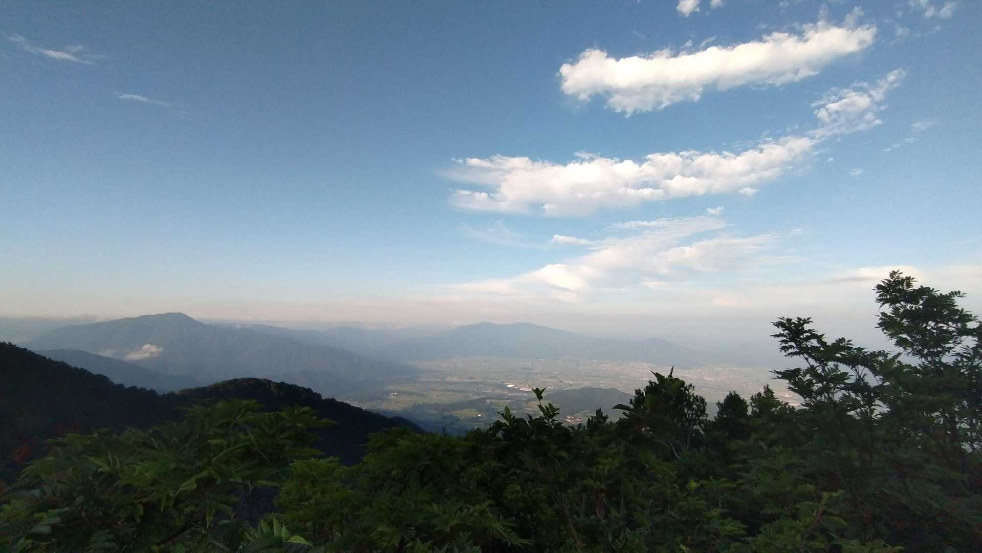エビフライ❓