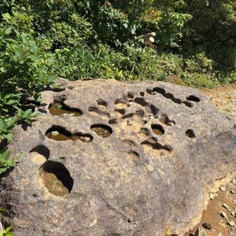 梵字か？😆

いやいや、ポットホールです、、よね？
でも川の中じゃない林道になぜポットホールが？
