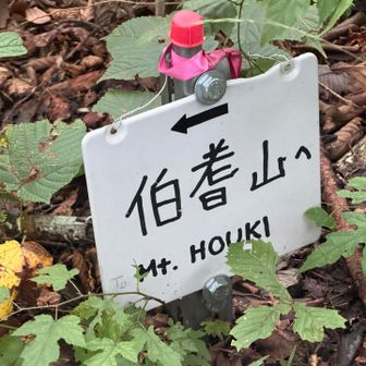 そして道標の類は沢山あるので道迷いは無いのだが…コレで『ほうき』と読むなんて…
