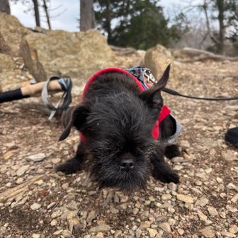 素敵な出会い、その②💖