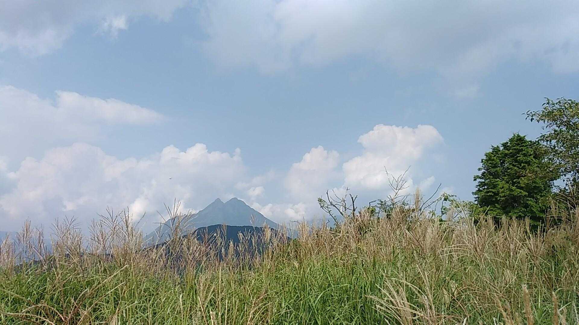 城ヶ岳 往復コースの写真