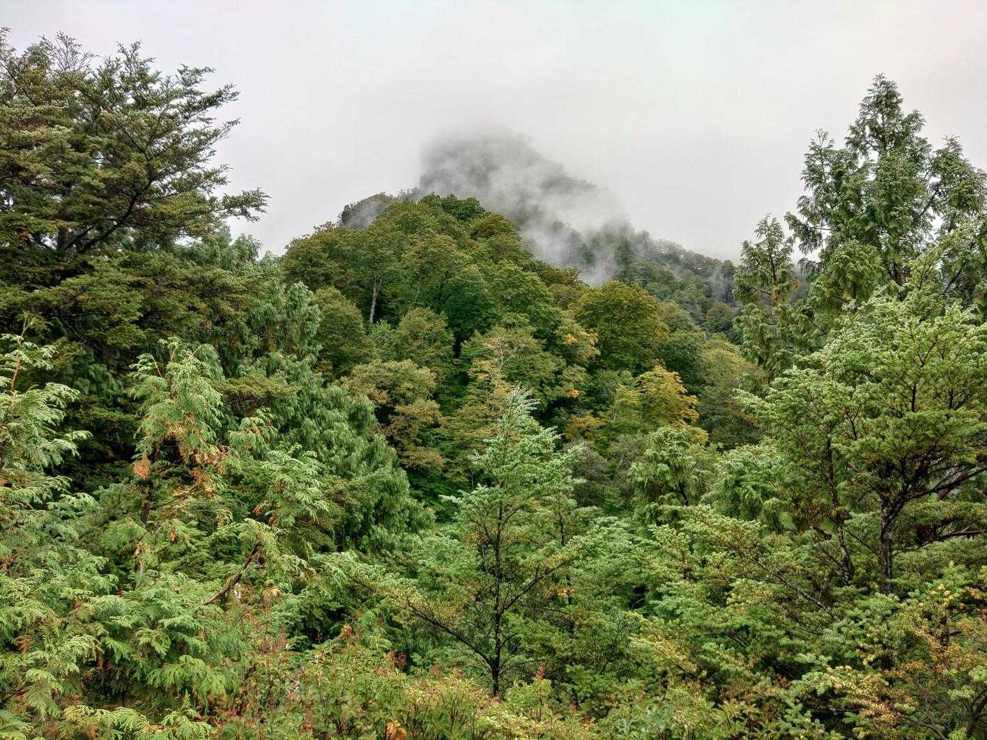 西岳登山口-第一峰-西岳-戸隠山-戸隠奥社 縦走コースの写真